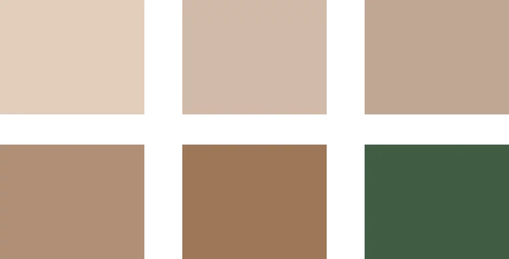Palette de couleurs du projet lumiere